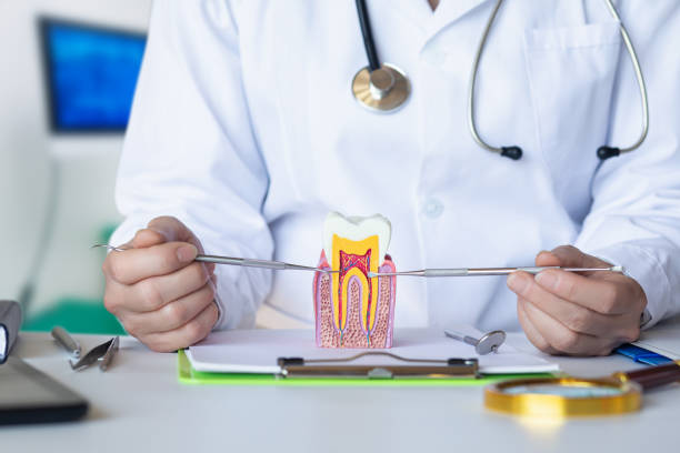 Best Pediatric Emergency Dentist in Greenville, NC